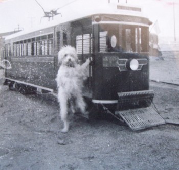 Dog & Train 1946