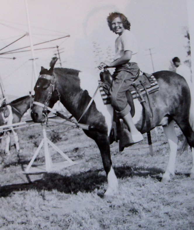 Sherry Lynn Halverson-Voss on Mike