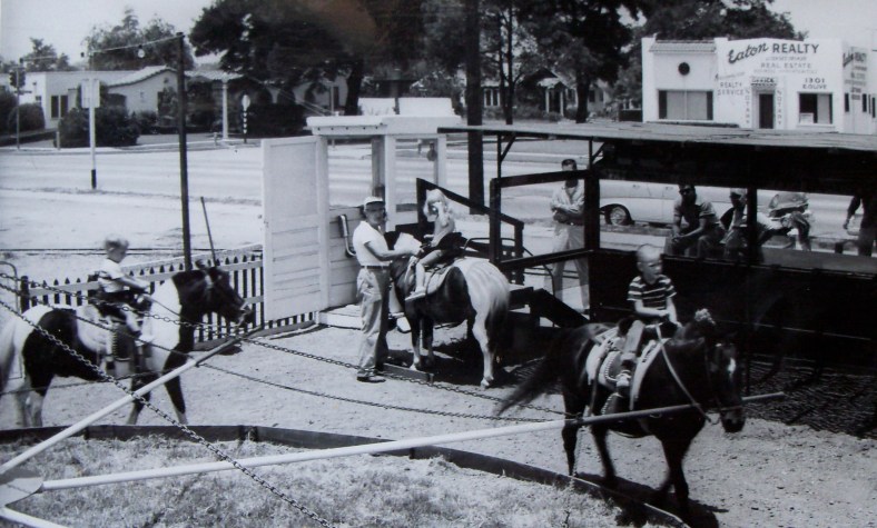 Ernie Ball -ponies 57