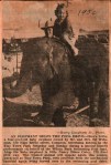 Elephant Helps Wilson Park Pool fund 1950