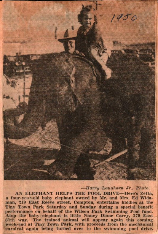 Elephant Helps Wilson Park Pool fund 1950